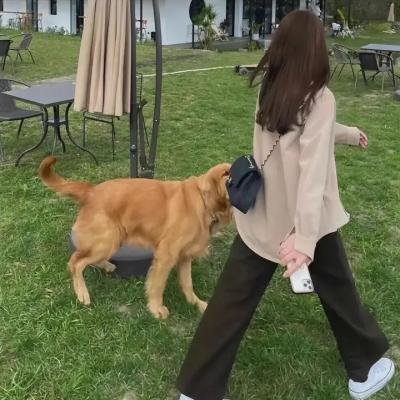 南宋猎人之绝地反击
